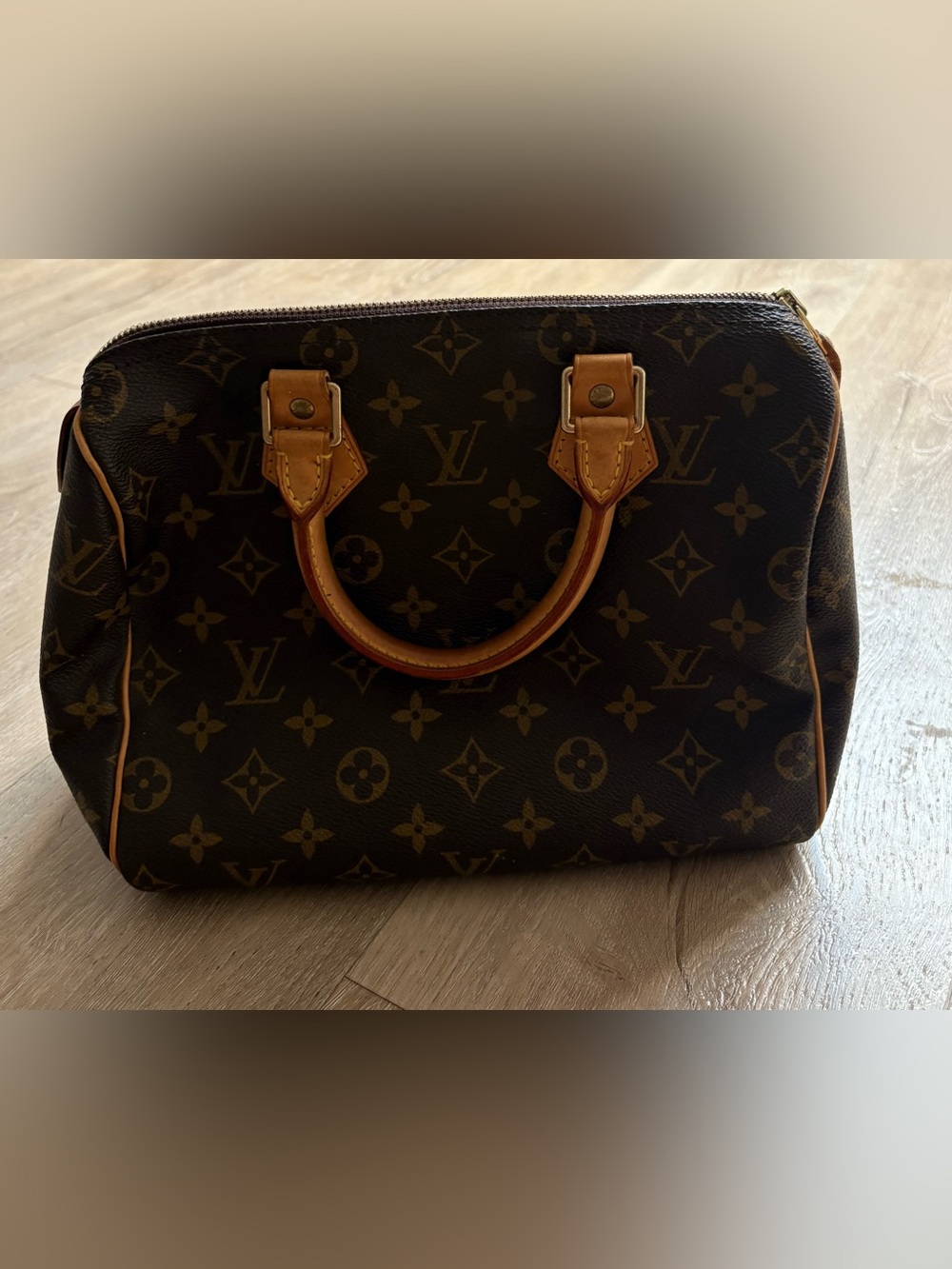 Louis Vuitton Speedy Handbag 25